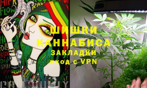 дживик Дмитров
