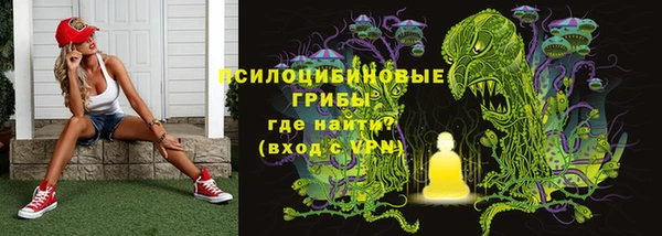 дживик Дмитров