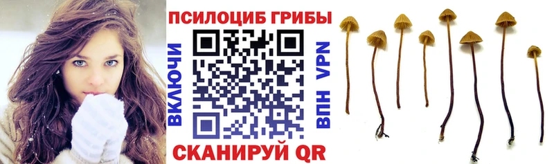 Галлюциногенные грибы ЛСД  Купить закладки  Нижнеудинск 