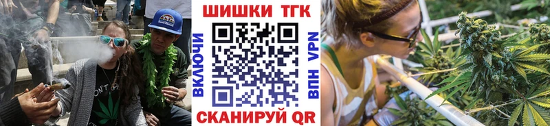 Купить закладки  Нижнеудинск  Бошки марихуана SATIVA & INDICA 